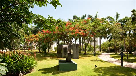  Il Jardín Botánico de Floridablanca: Un Rifugio di Pace e Biodiversità nel Cuore della Colombia!