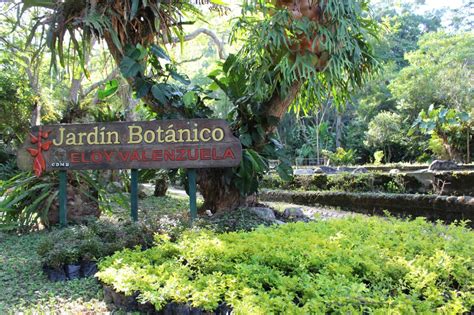 Il Jardín Botánico de Bucaramanga: Un'oasi verde con una vista mozzafiato sulla Cordillera Orientale!