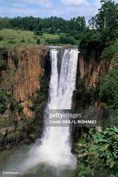 The Umgeni River Bird Park: A Haven for Feathered Friends and Nature Enthusiasts!